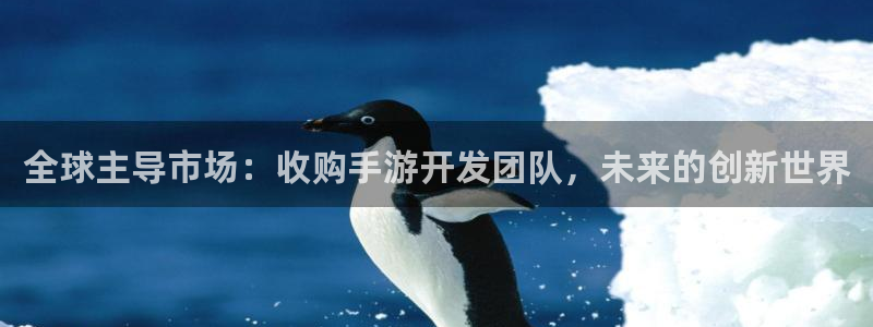 恒盛娱乐平台：全球主导市场：收购手游开发团队，未来的创新世界