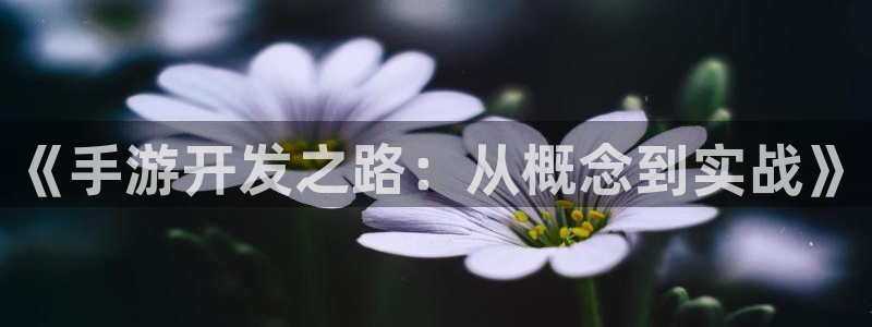 恒盛娱乐app：《手游开发之路：从概念到实战》