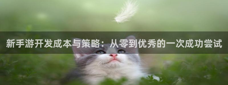 恒盛娱乐app：新手游开发成本与策略：从零到优秀的一次成功尝