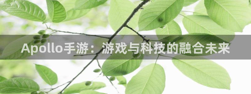 恒盛娱乐登录：Apollo手游：游戏与科技的融合未来