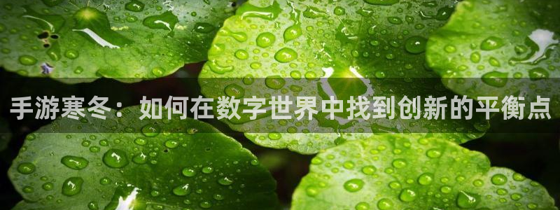 恒盛娱乐下载：手游寒冬：如何在数字世界中找到创新的平衡点