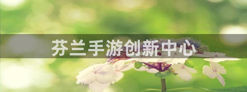 恒盛娱乐官网：芬兰手游创新中心