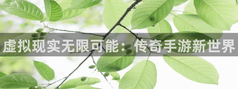 恒盛娱乐下载：虚拟现实无限可能：传奇手游新世界