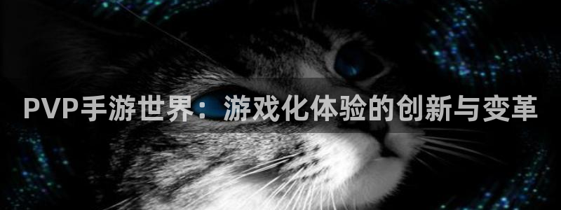 恒盛娱乐下载：PVP手游世界：游戏化体验的创新与变革