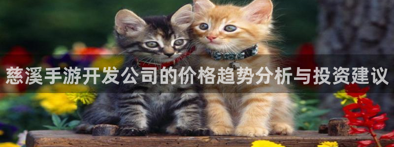 恒盛娱乐首页：慈溪手游开发公司的价格趋势分析与投资建议