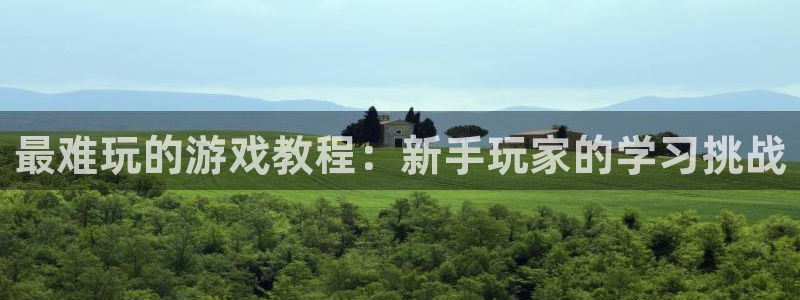 恒盛娱乐首页：最难玩的游戏教程：新手玩家的学习挑战