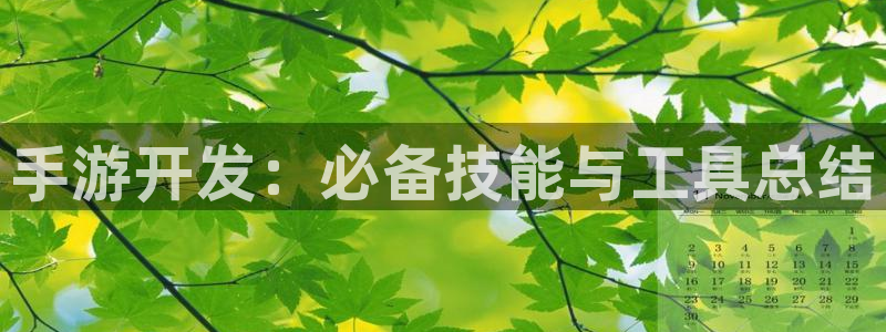 恒盛娱乐app：手游开发：必备技能与工具总结