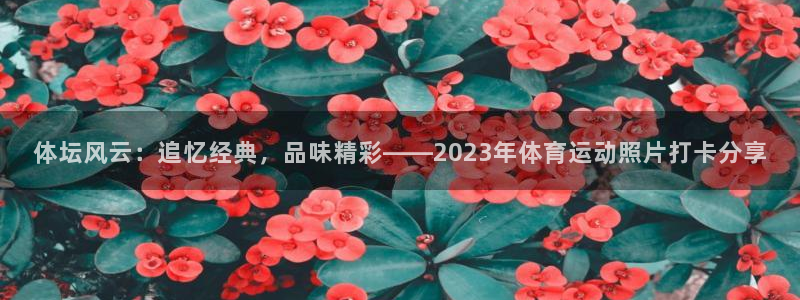 zoty中欧体育：体坛风云：追忆经典，品味精彩——2023年体育运动照片打卡分享