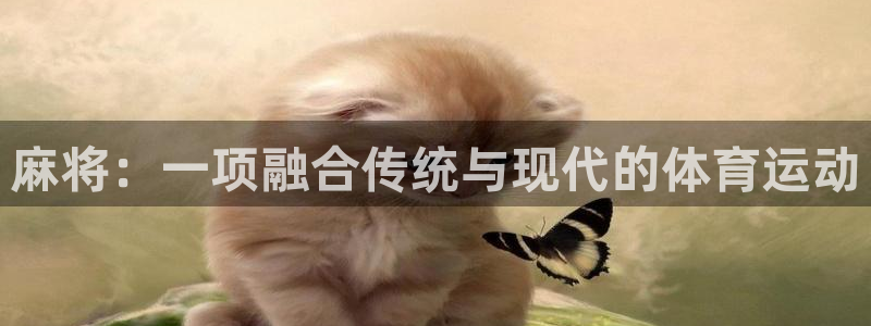 zoty中欧体育平台